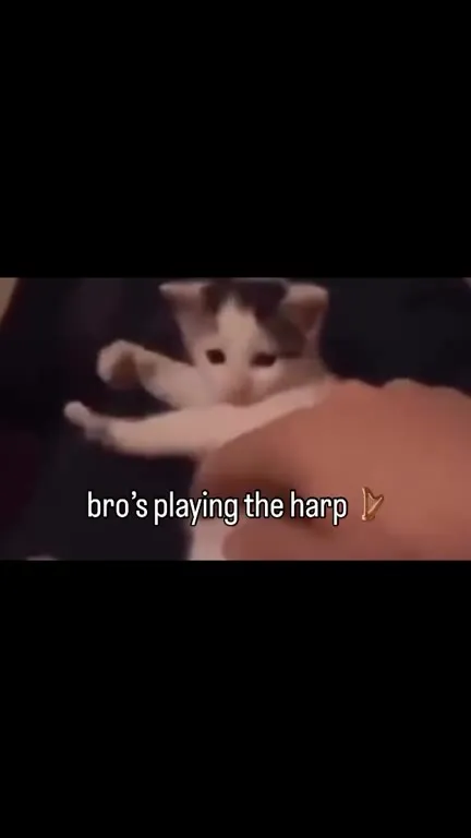 Bro’s Playing the Harp