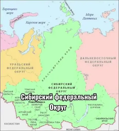 Сибирский округ превращается в котёнка