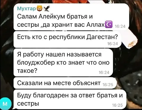 Нашёл работу блуджобером