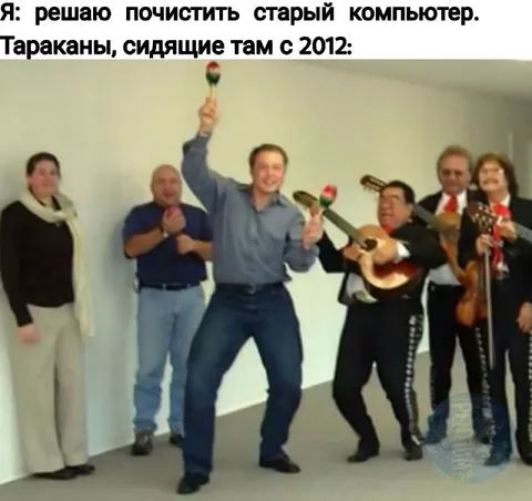 Тараканы с 2012 года