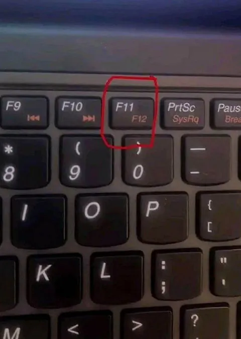 Красная кнопка F11