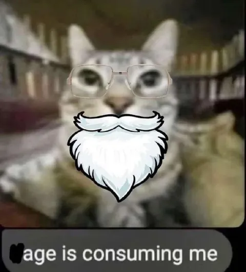 Age Is Consuming Me Cat
