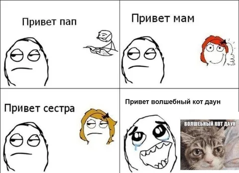 Привет волшебный кот даун