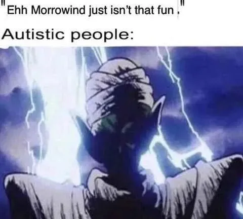 Autistic People Love Morrowind
