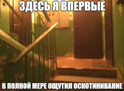 Здесь я впервые ощутил оскотинивание