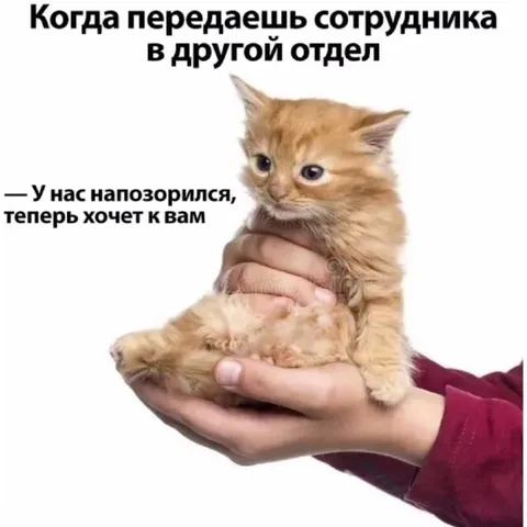Передача сотрудника в другой отдел
