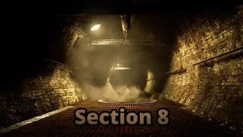 Rats Emerging From Section 8