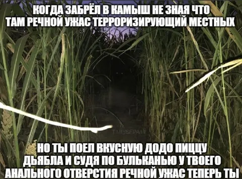 Речной ужас в камышах