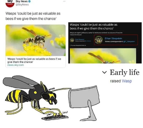 Ethan Waspsstein raised wasp