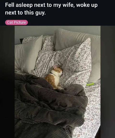 Woke Up Next to This Guy