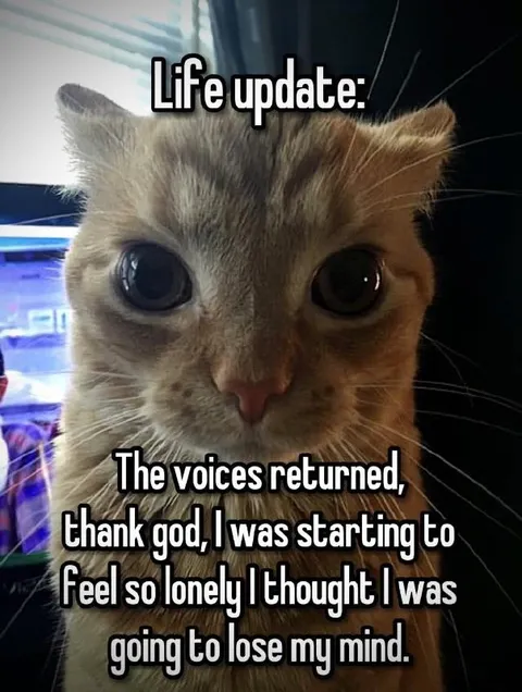Cat Hears the Voices Again