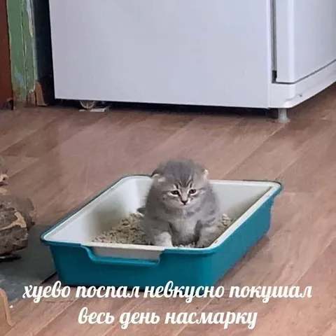 Весь день насмарку