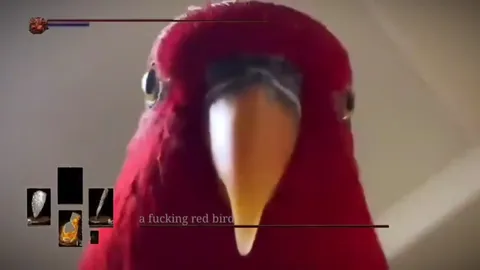 A Fucking Red Bird