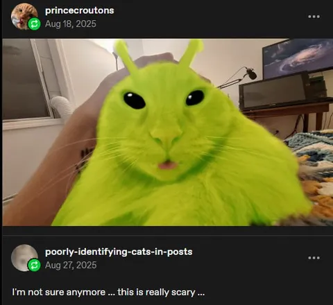 Scary Alien Cat Filter