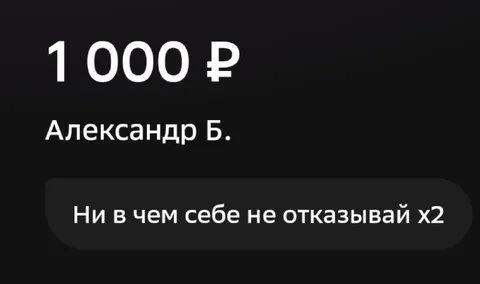 Ни в чем себе не отказывай x2