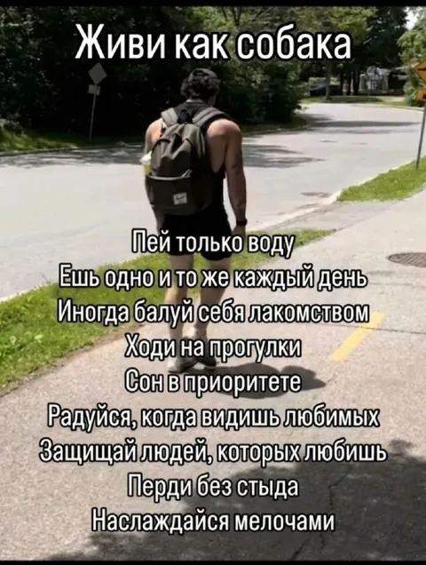 Живи как собака
