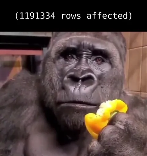1191334 Rows Affected Gorilla