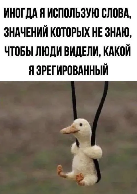 Когда используешь умные слова