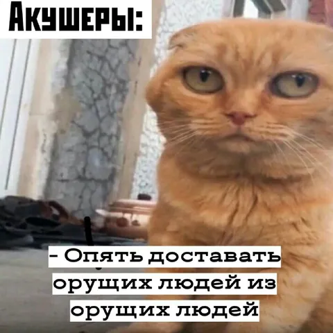 Акционеры снова достают орущих людей