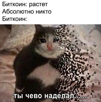 Биткоин растёт, абсолютно никто