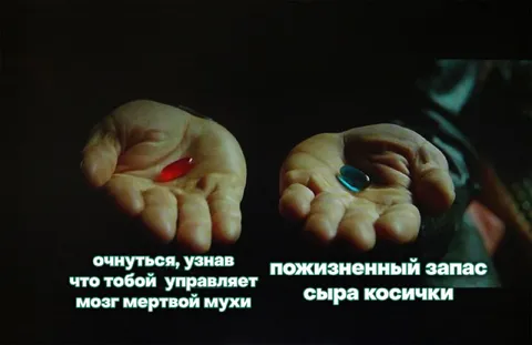 Красная таблетка и сыр косички