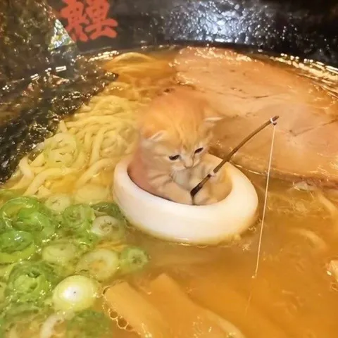 Кот рыбачит в супе