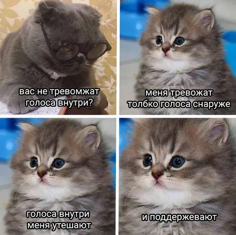 Голоса внутри меня утешают