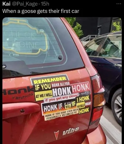 Goose Gets Its First Car