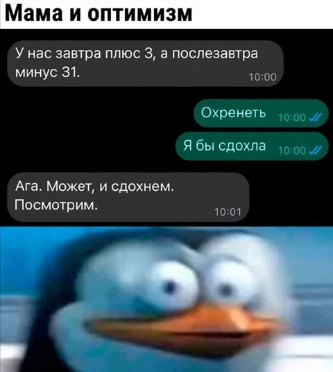 Мама и оптимизм перед морозами