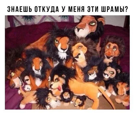 Откуда у меня эти шрамы?