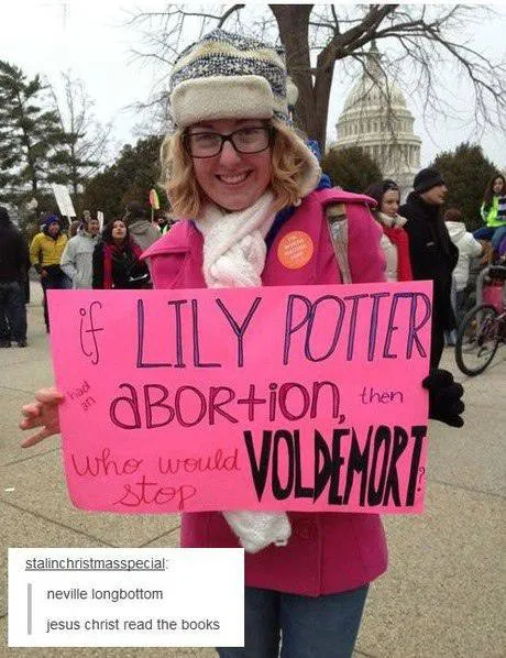 Lily Potter Abortion Logic