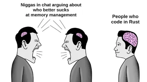 Rust Memory Management Argument