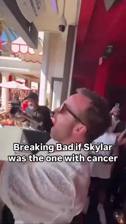 Breaking Bad Skylar DJ