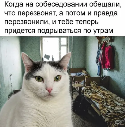 Когда перезвонили с работы