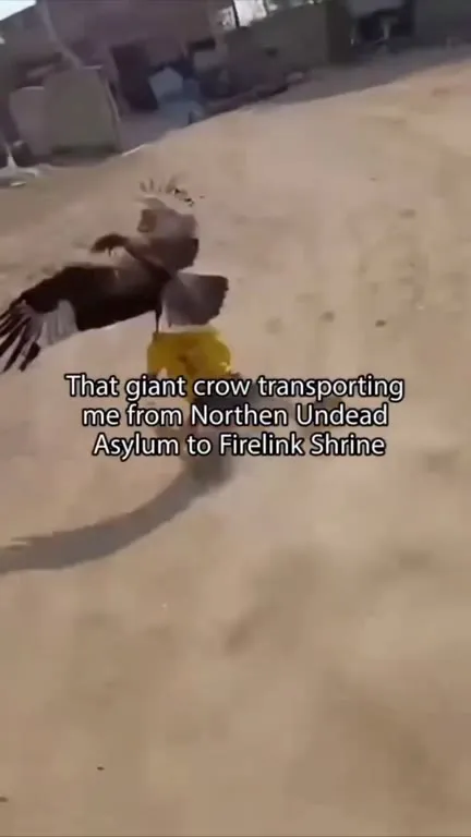 Giant Crow Taxi to Firelink Shrine