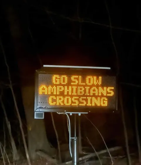Slow Amphibians Crossing Sign