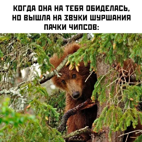 Когда она обиделась, но вышла
