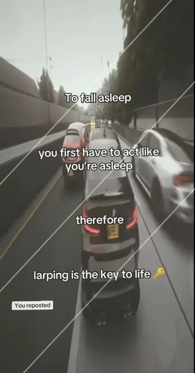 Larping Is the Key to Life