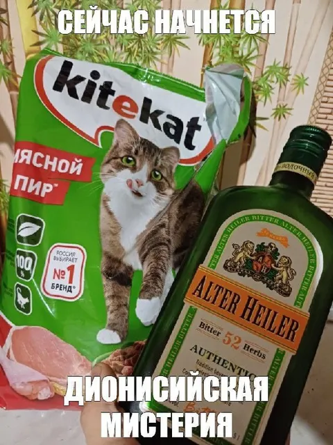 Дионисийская мистерия с котом