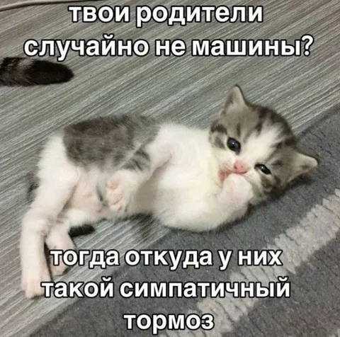 Симпатичный тормоз в семье