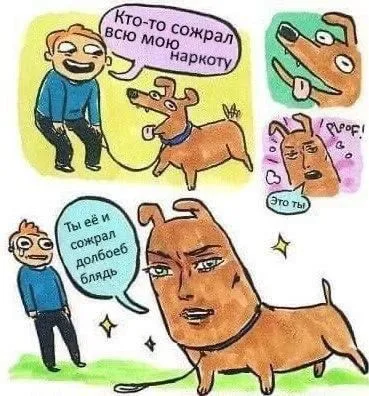 Ты сам украл наркотики