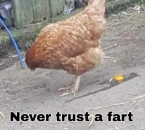 Never Trust a Fart Chicken