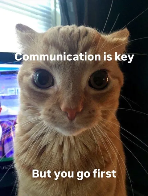 Cat Says You Go First