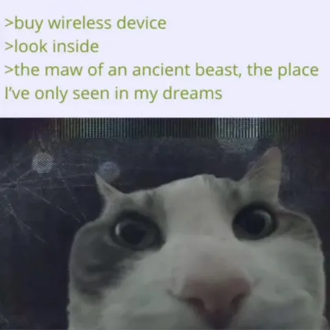 Ancient Beast Wireless Device