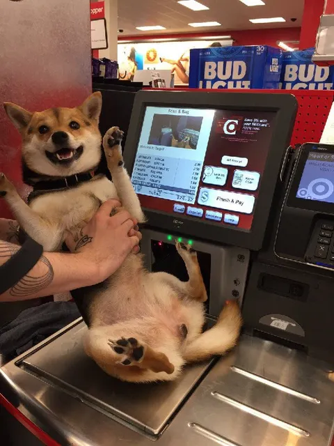 Dog Checks Out at Target