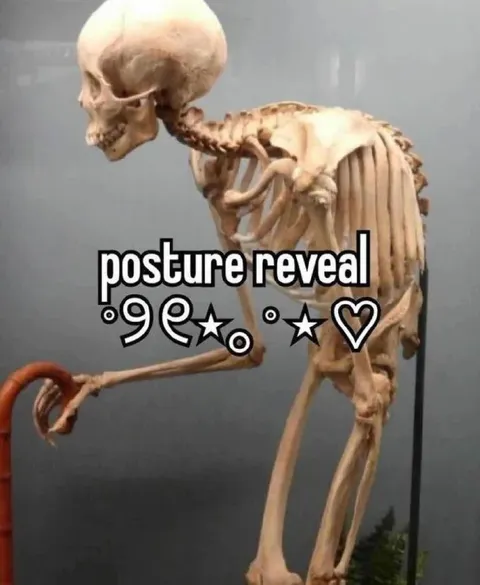 Posture Reveal Skeleton