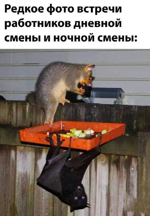Встреча дневной и ночной смены