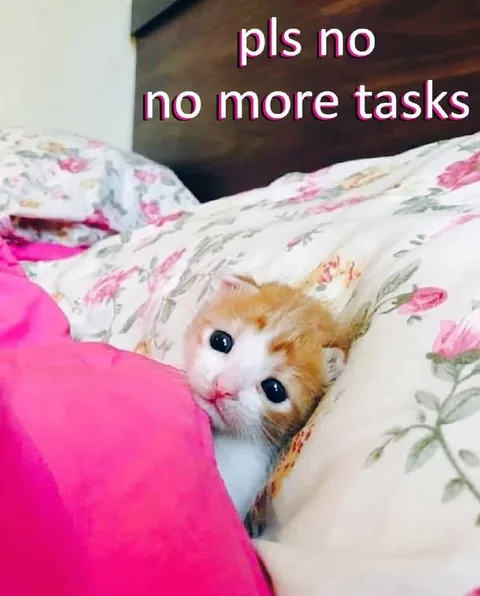 Kitten Says No More Tasks