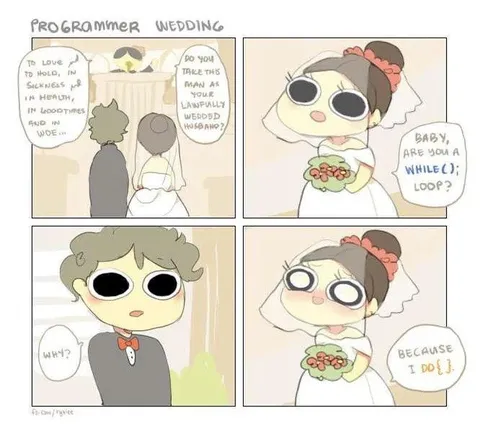 Programmer Wedding While Loop
