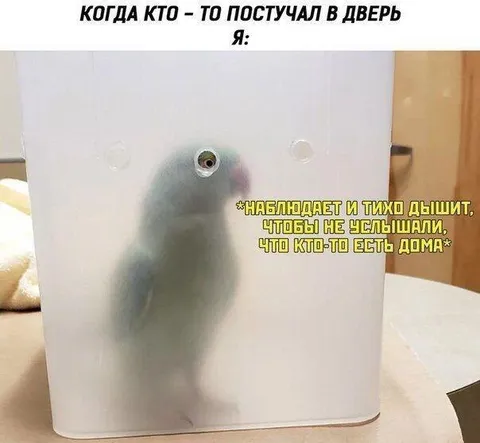 Тихо дышит за дверью